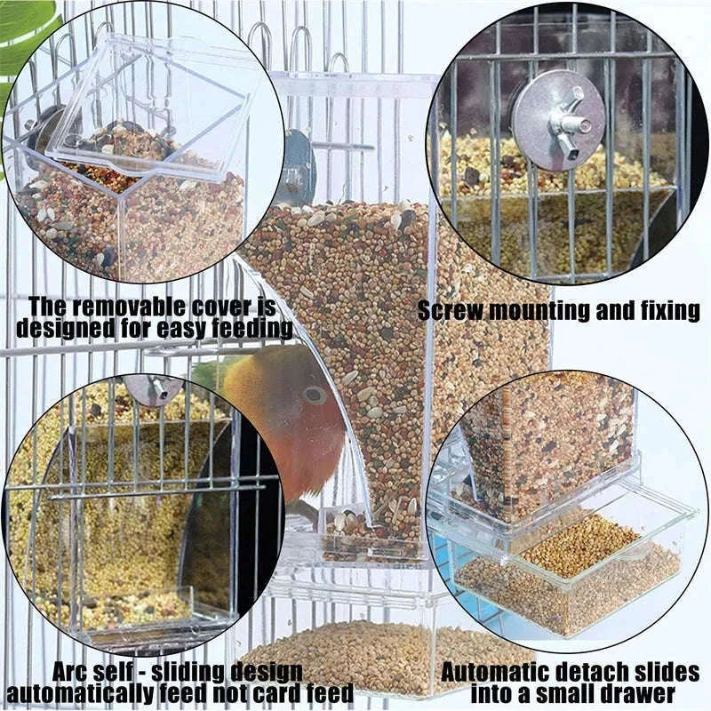 Automatic Spill-Proof Parrot Bird Feeder with Clear Acrylic-White