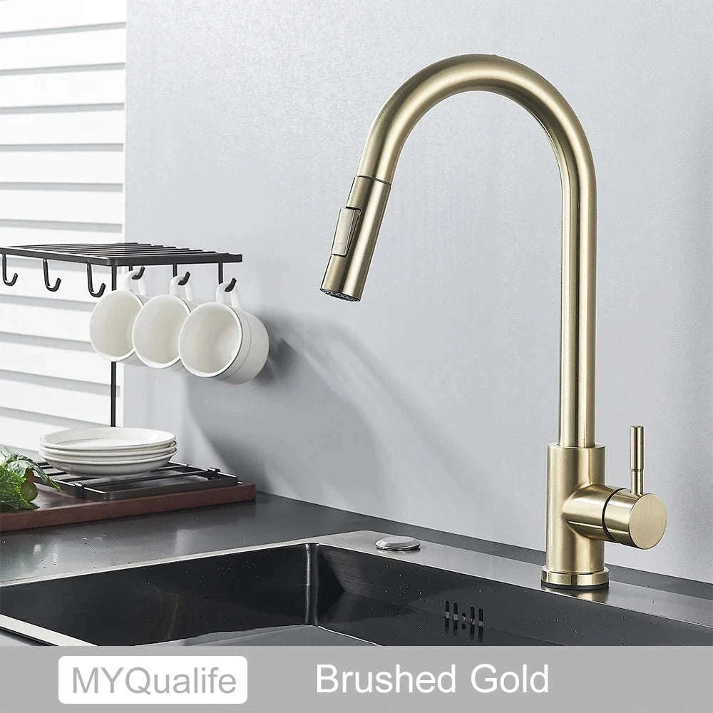 Black Kitchen Faucet with Pull-Out Dual-Function Spray-Brushed Gold / Poland