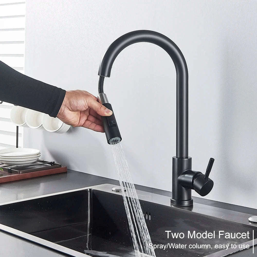 Black Kitchen Faucet with Pull-Out Dual-Function Spray-Brushed Gold / Poland