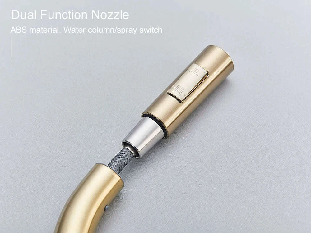 Black Kitchen Faucet with Pull-Out Dual-Function Spray-Brushed Gold / Poland