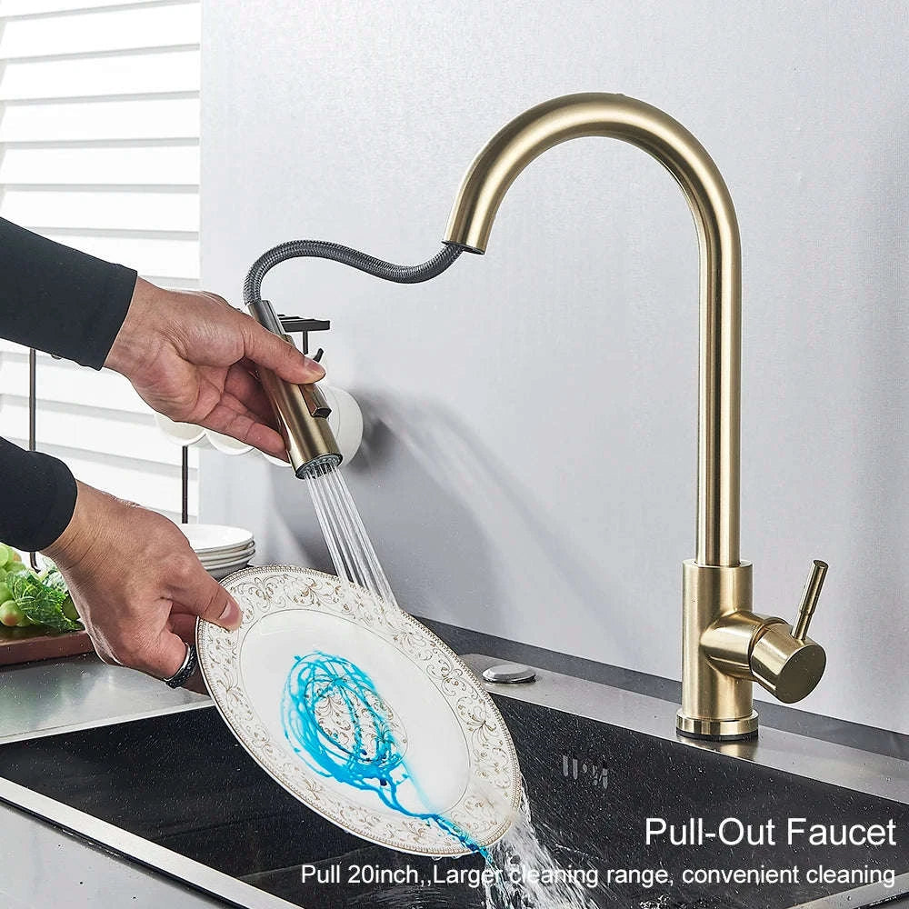 Black Kitchen Faucet with Pull-Out Dual-Function Spray-Brushed Gold / Poland