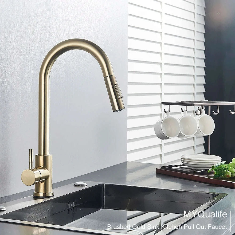 Black Kitchen Faucet with Pull-Out Dual-Function Spray-Brushed Gold / Poland