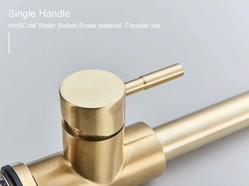 Black Kitchen Faucet with Pull-Out Dual-Function Spray-Brushed Gold / Poland