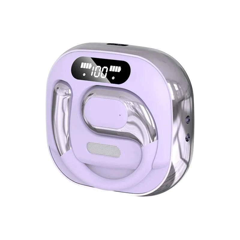 Bluetooth 5.3 Translation Earbuds with Long Battery & IPX4 Waterproof-PURPLE / United States