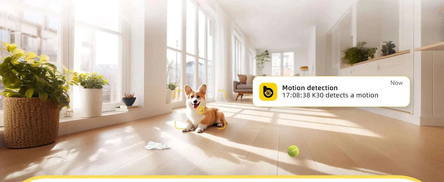 BoyKeep 3MP WiFi Indoor Security Camera with Auto Tracking-USB / United Kingdom