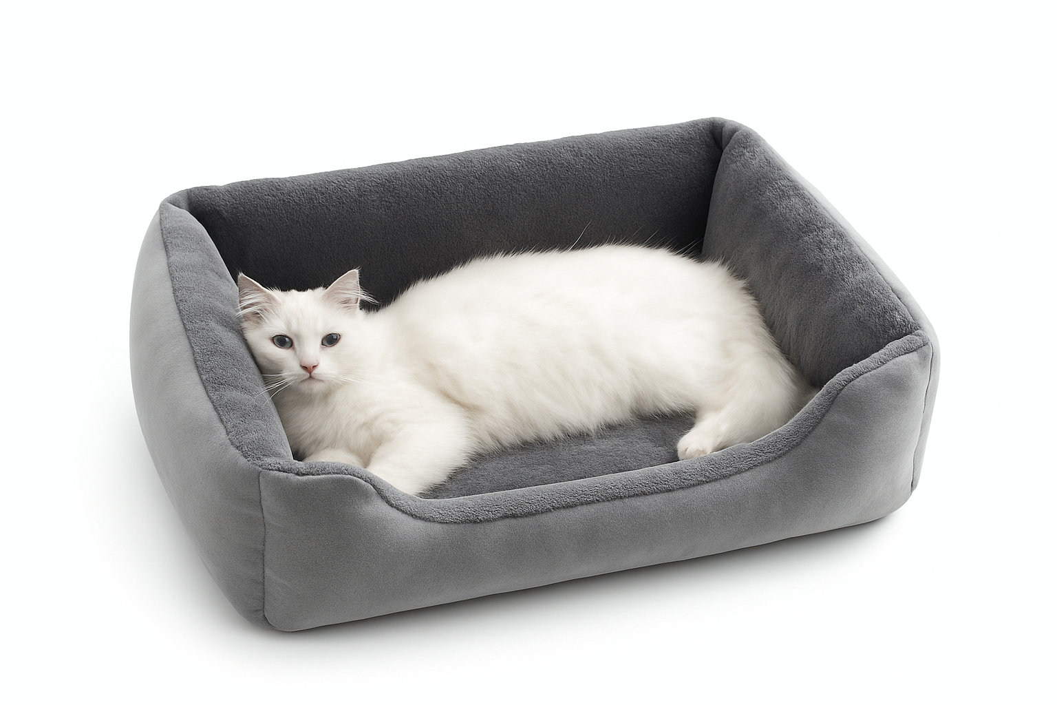 Plüsch-Katzenbett & Matte für gemütliche, unterstützende tägliche Ruhe