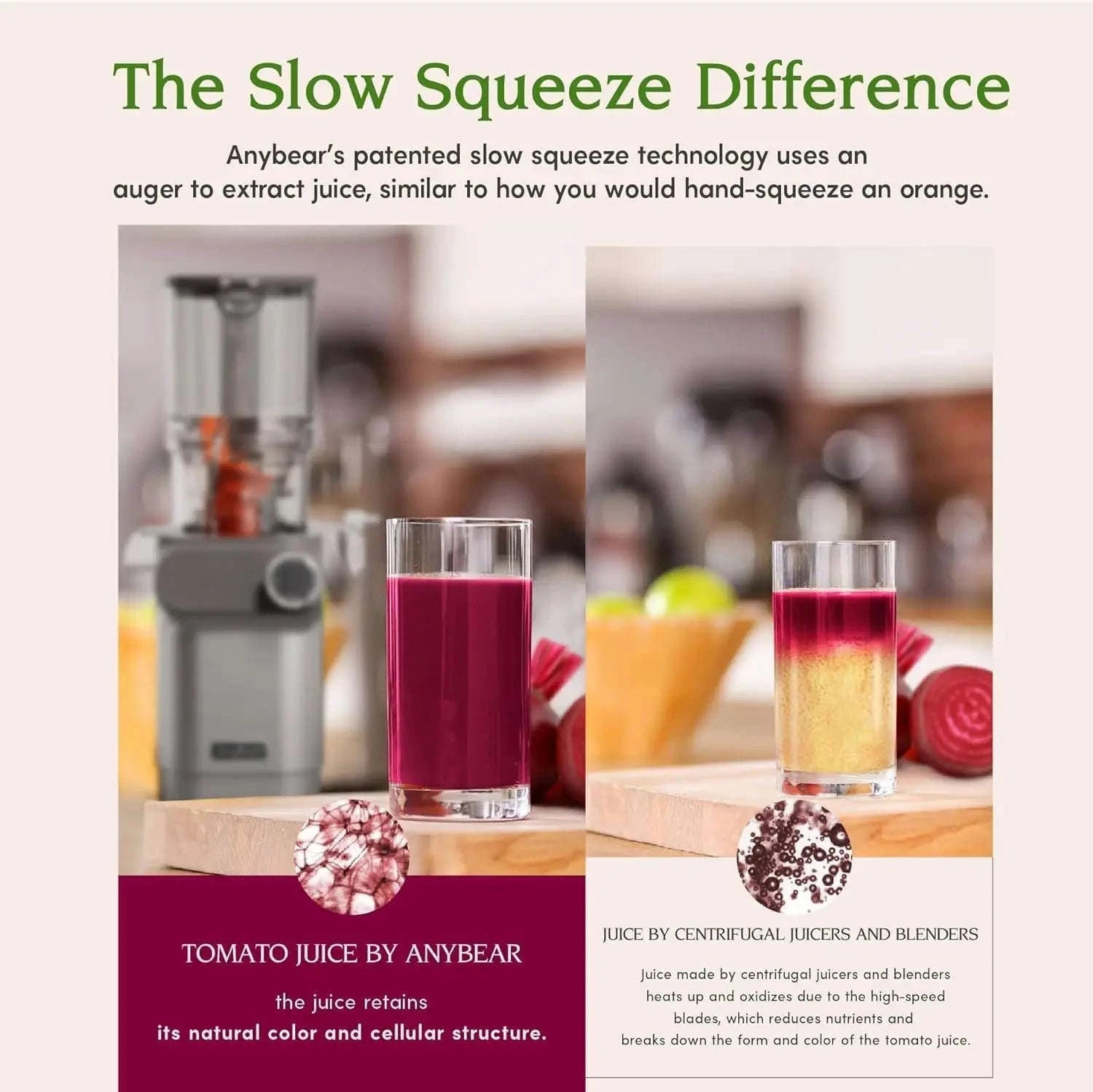 Cold Press Juicer 200W Masticating Slow Juicer with 4.3-Inch Large Feed Chute-United States