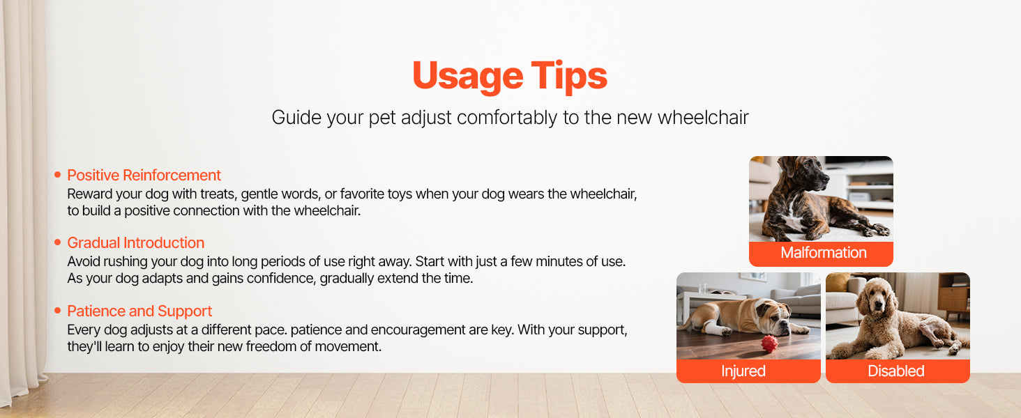 Dog Wheelchair for Back Legs, Lightweight 2-Wheel Adjustable Pet Wheelchair