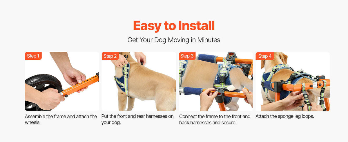Dog Wheelchair for Back Legs, Lightweight 2-Wheel Adjustable Pet Wheelchair-M 35-48 lbs / spain