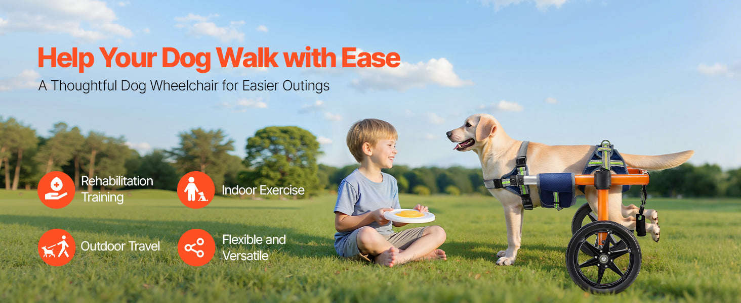Dog Wheelchair for Back Legs, Lightweight 2-Wheel Adjustable Pet Wheelchair-M 35-48 lbs / spain