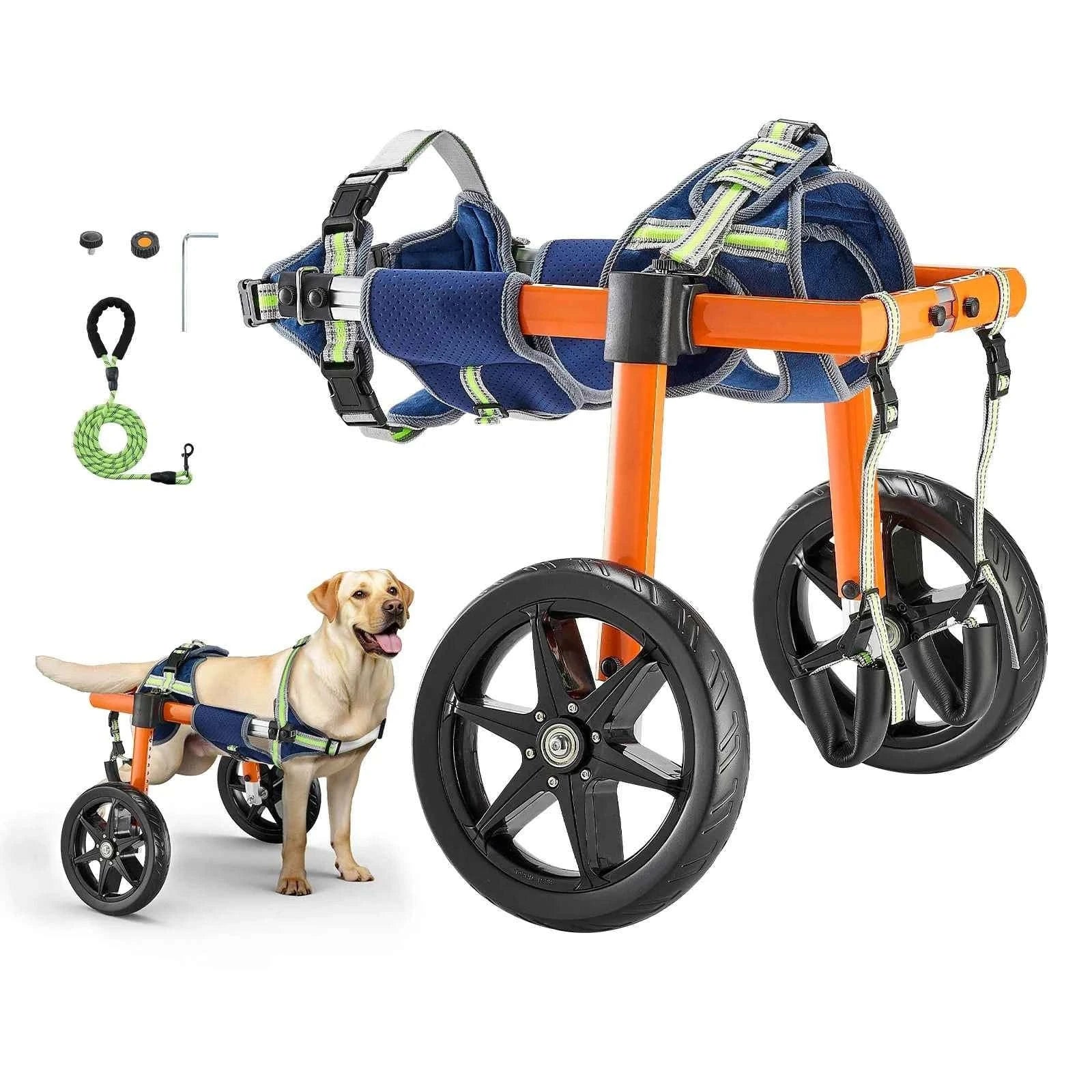 Dog Wheelchair for Back Legs, Lightweight 2-Wheel Adjustable Pet Wheelchair-M 35-48 lbs / spain