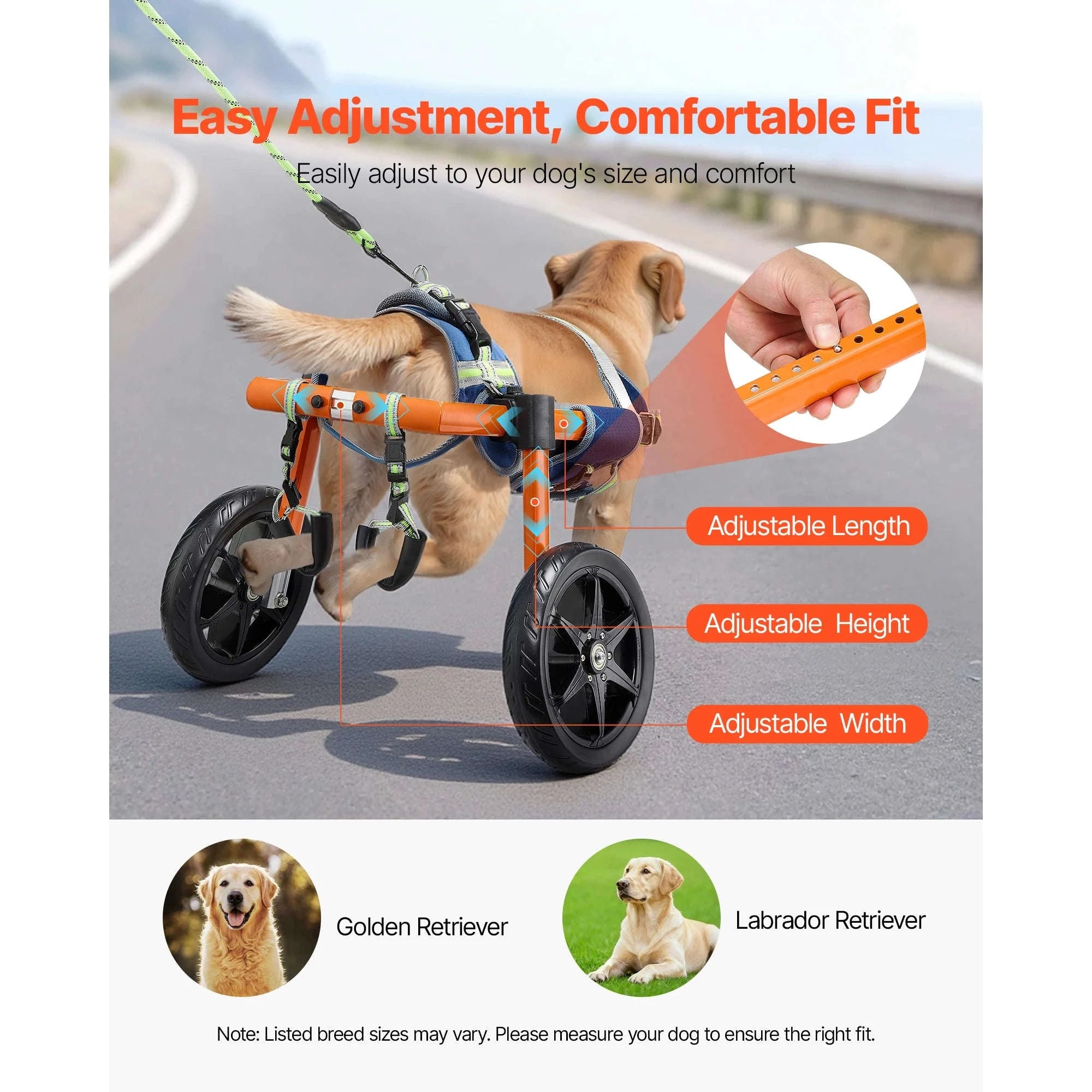 Dog Wheelchair for Back Legs, Lightweight 2-Wheel Adjustable Pet Wheelchair-M 35-48 lbs / spain