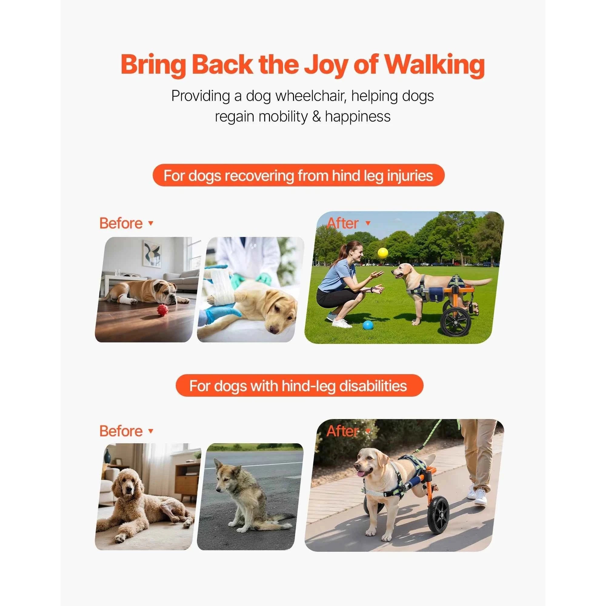 Dog Wheelchair for Back Legs, Lightweight 2-Wheel Adjustable Pet Wheelchair-M 35-48 lbs / spain
