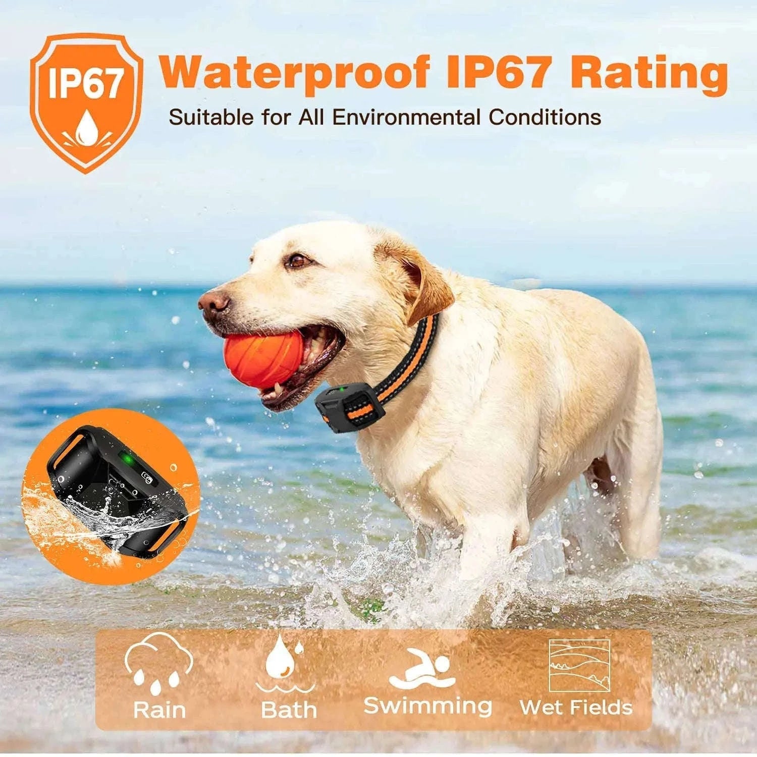 Electric Dog Training Collar with 3300Ft Waterproof Remote-