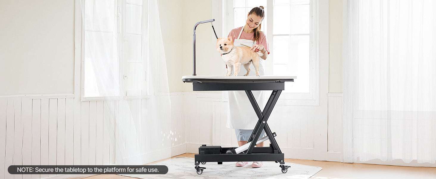Electric Lift Table 330 lb Capacity 8-28" Adjustable with Wheels-330LBS / United States