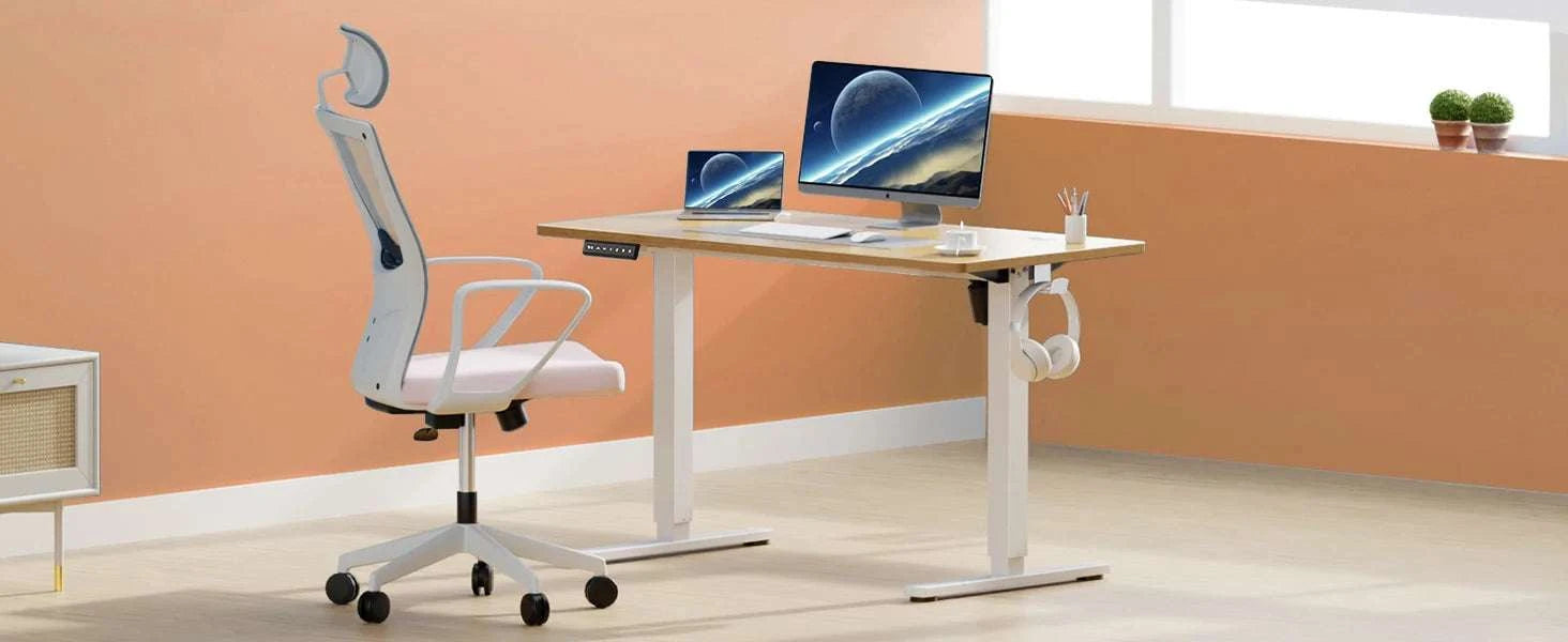 Electric Standing Desk 40x24 Adjustable Sit Stand Workstation-White / United States