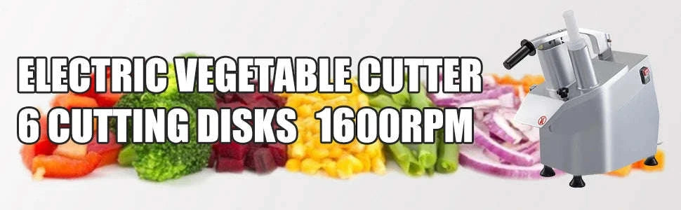 Electric Vegetable Cutter with 6 Cutting Disks for Slicing and Shredding-550W / spain
