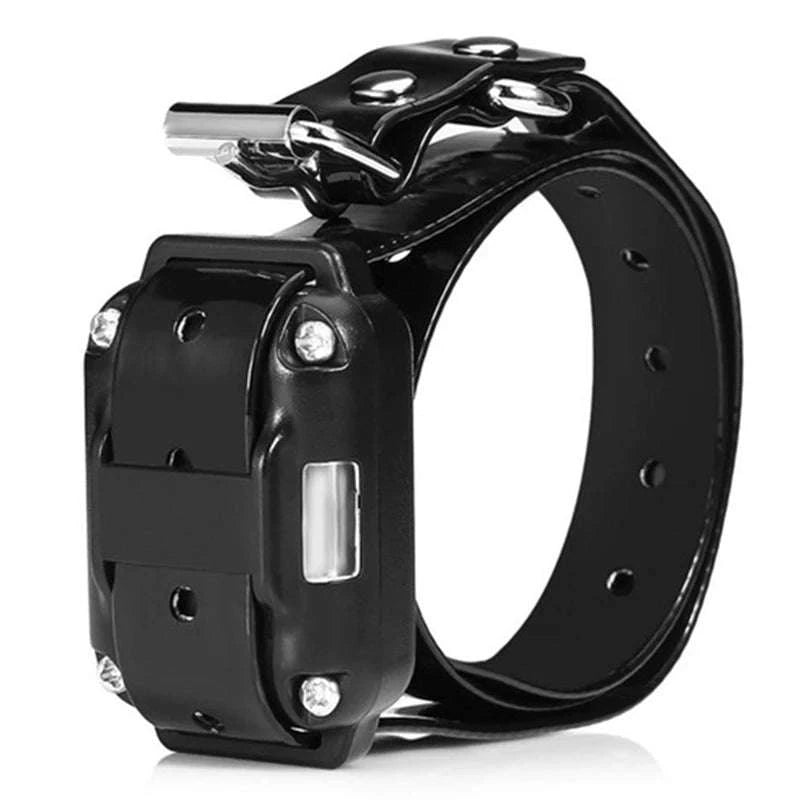 Electronic Dog Training Collar (Receiver Only, No Remote)-Black / China Mainland
