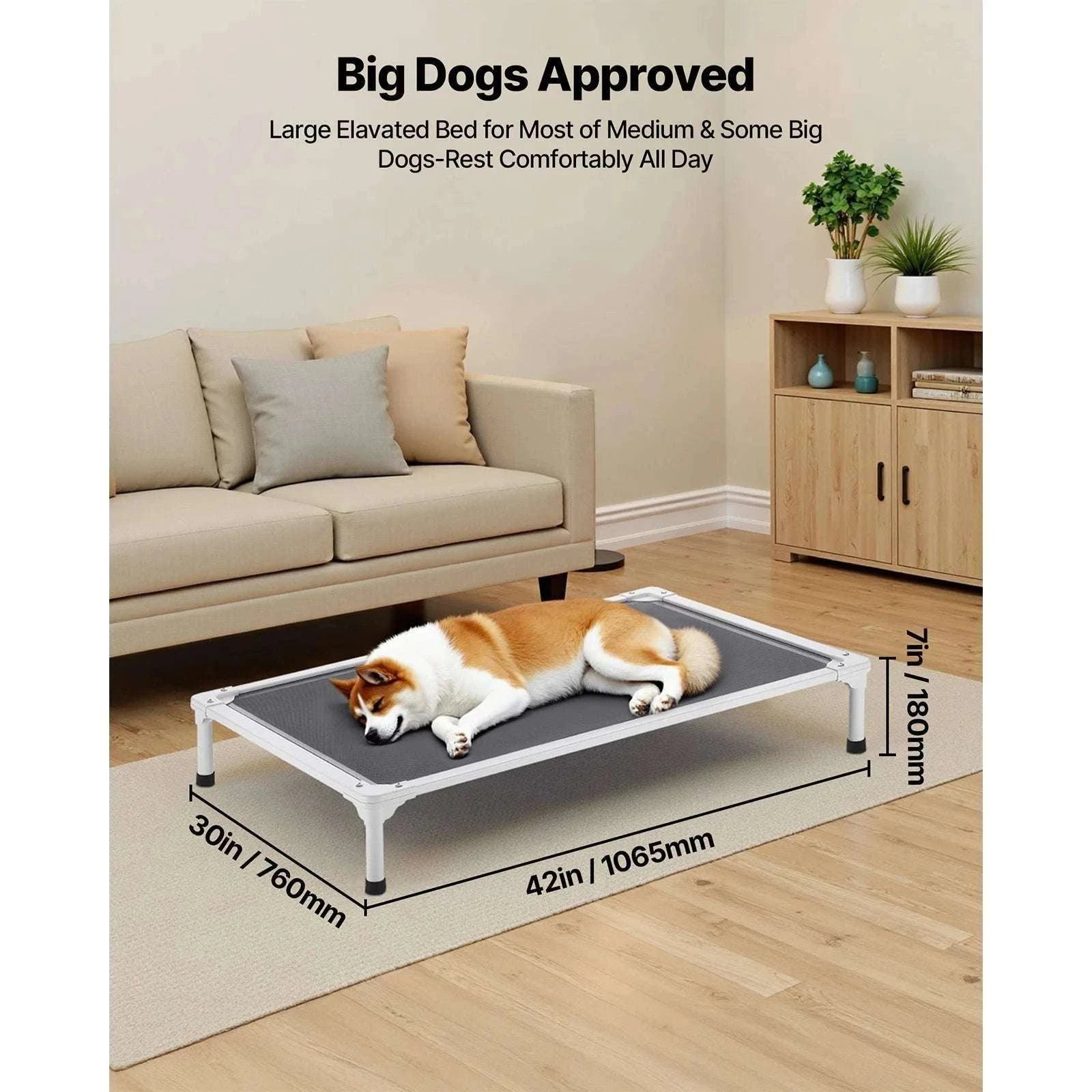 Elevated Dog Bed for Large Dogs with Breathable Mesh & Metal Frame-XL Without Pillow / United States