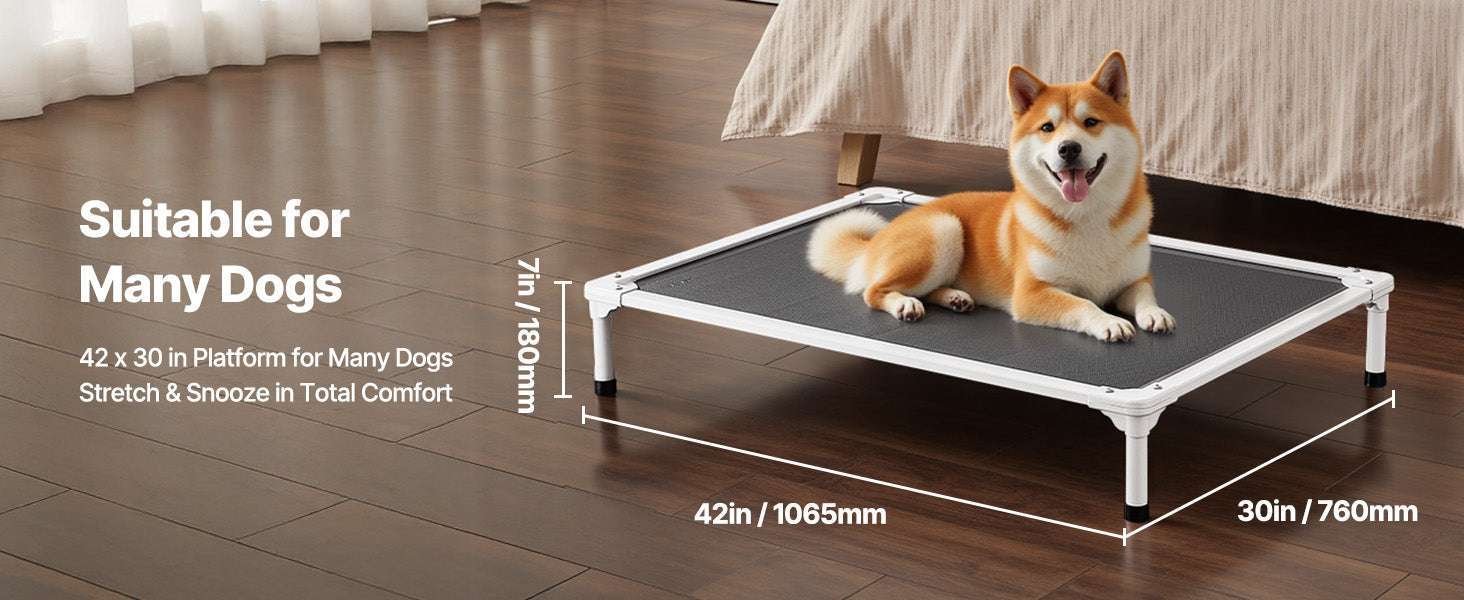 Elevated Dog Bed for Large Dogs with Breathable Mesh & Metal Frame-XL Without Pillow / United States