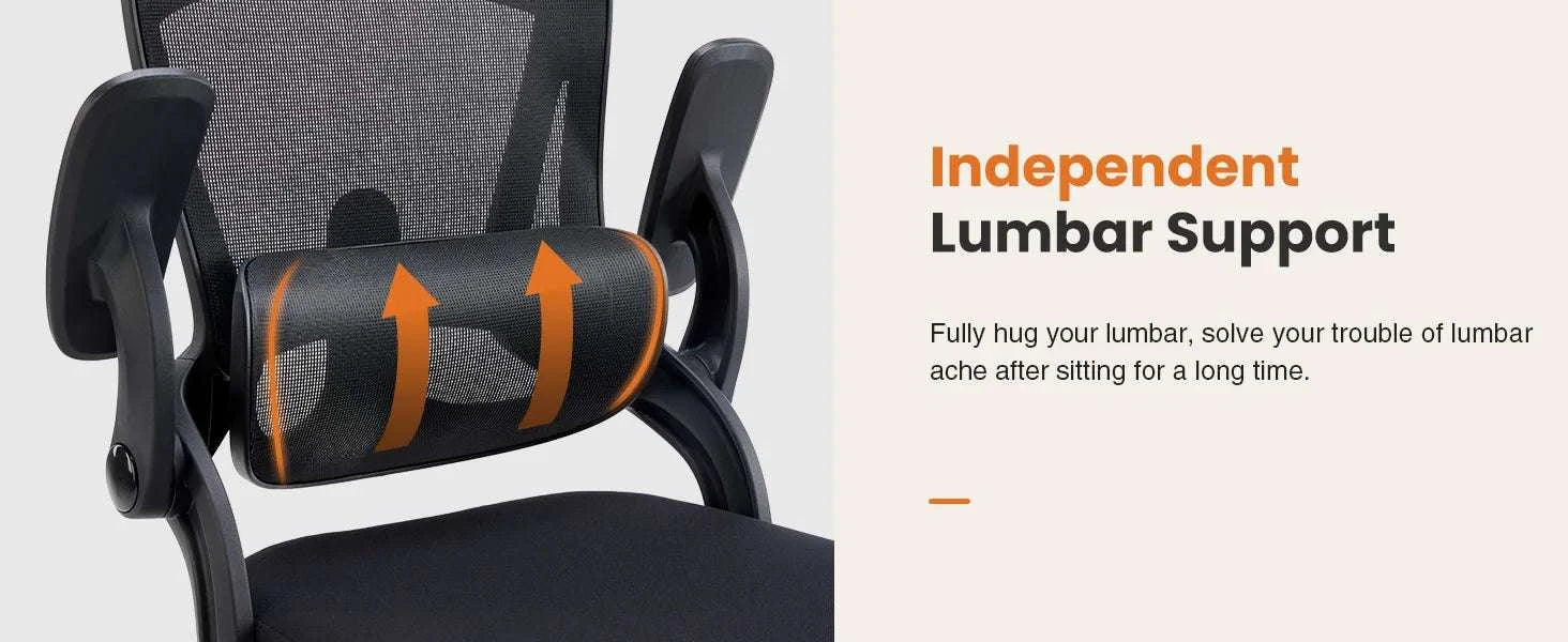 Ergonomic Mesh Office Chair with Adjustable Lumbar & 120° Tilt-black / United States