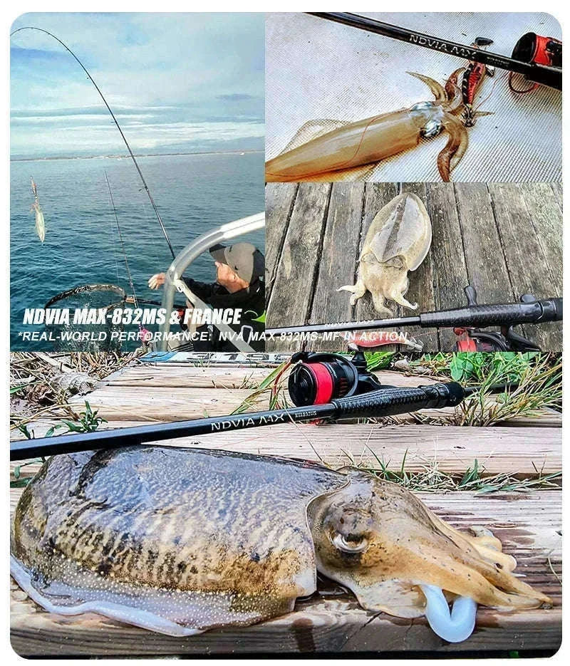 Fast Action Carbon Spinning Rod for Ajing & Eging 8FT–8.6FT-Spinning-862ML