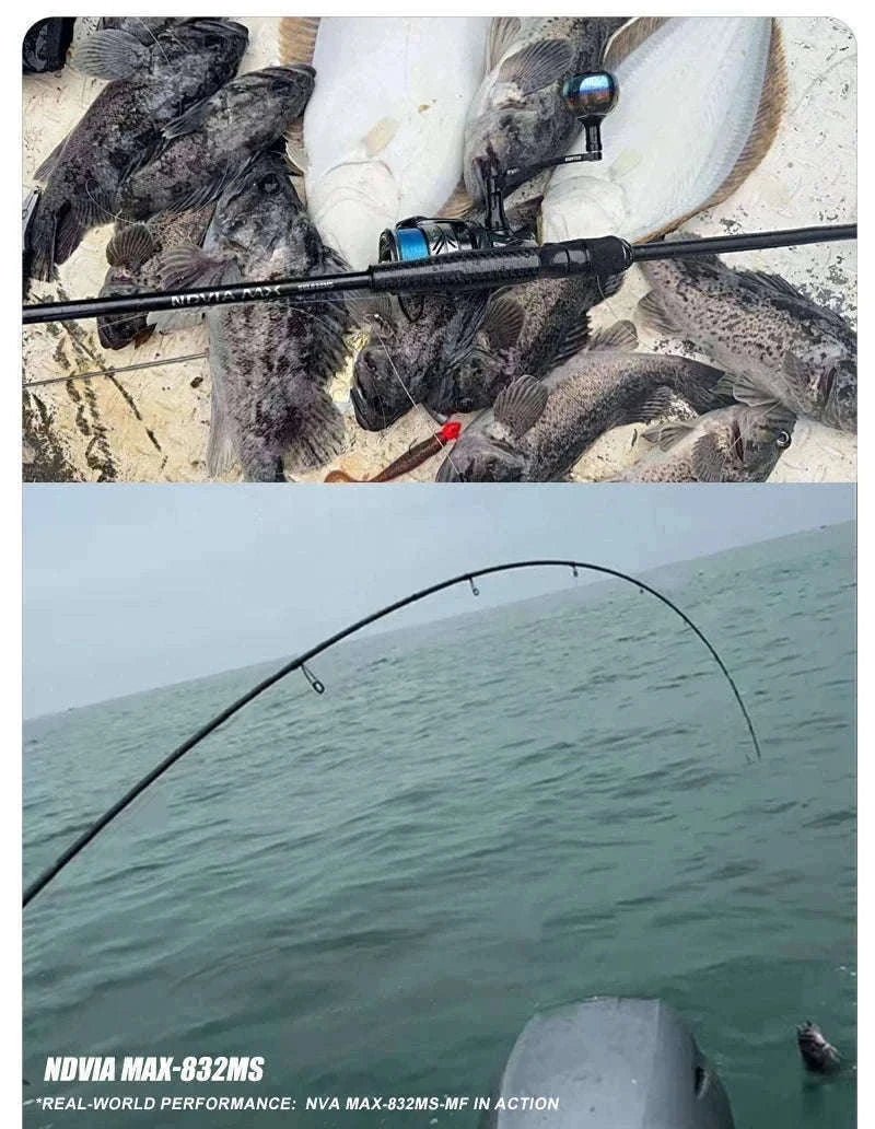 Fast Action Carbon Spinning Rod for Ajing & Eging 8FT–8.6FT-Spinning-862ML