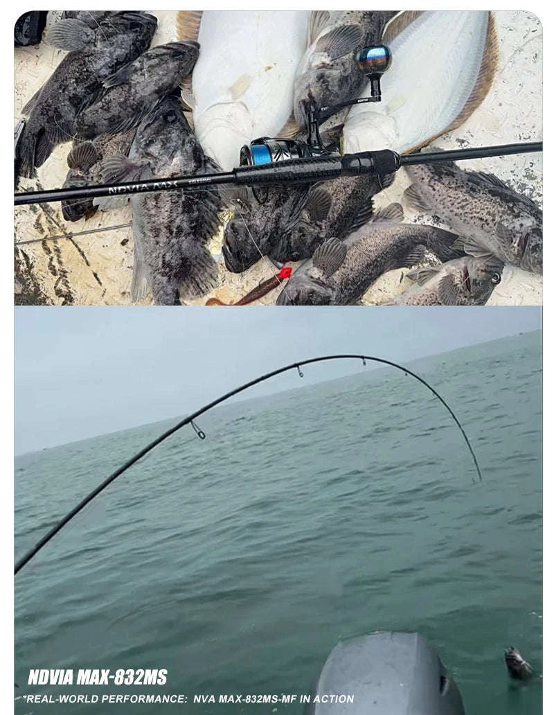 Fast Action Carbon Spinning Rod for Ajing & Eging 8FT–8.6FT-Spinning-862ML
