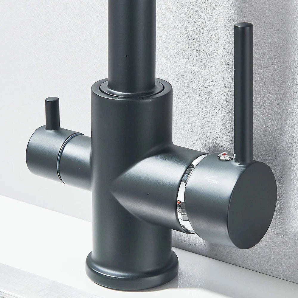 Filtered Kitchen Sink Faucet with Drinking Water Spout-Golden / GERMANY