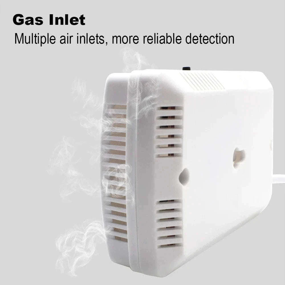 Gas Detector and Carbon Monoxide Alarm for Home Safety-CO and Gas Detector