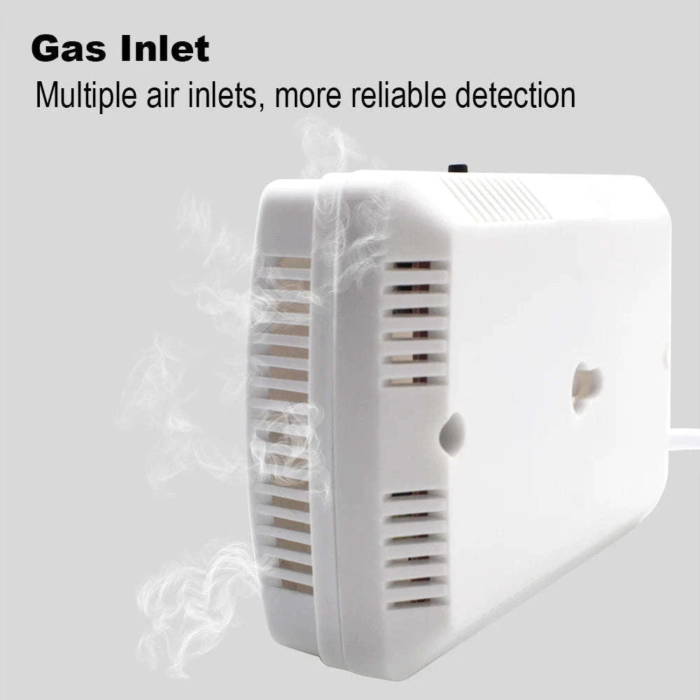 Gas Detector and Carbon Monoxide Alarm for Home Safety-CO and Gas Detector