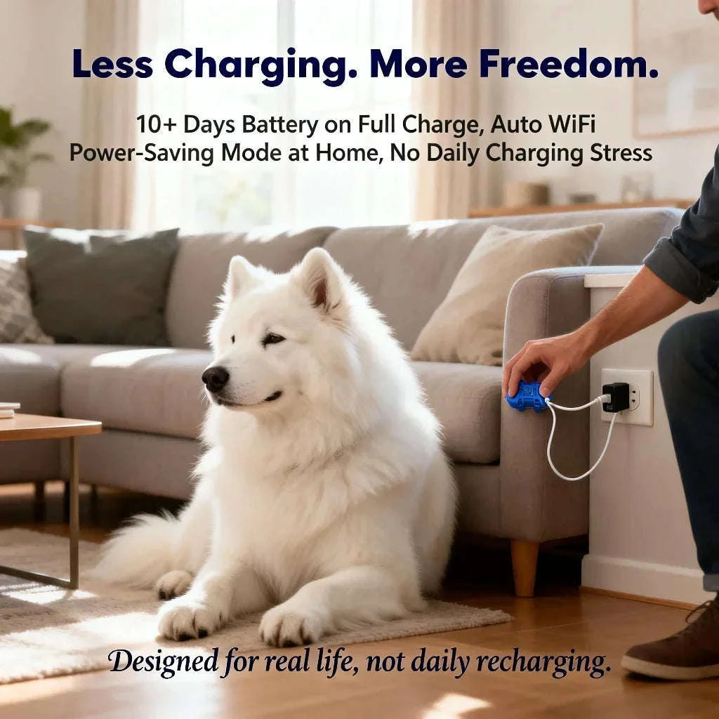 GPS Pet Tracker with Real-Time Tracking, Geo-Fence & App Alerts-Pet Tracker / United States
