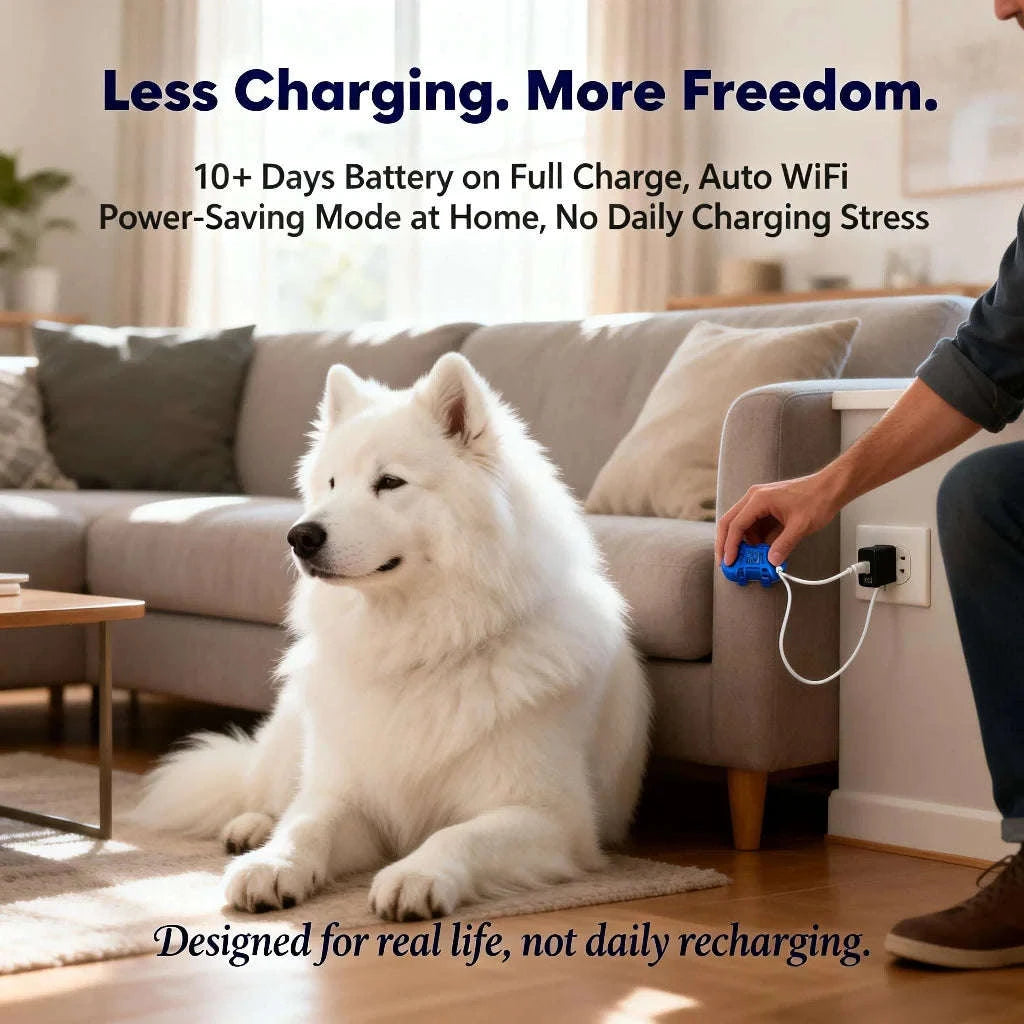 GPS Pet Tracker with Real-Time Tracking, Geo-Fence & App Alerts-Pet Tracker / United States