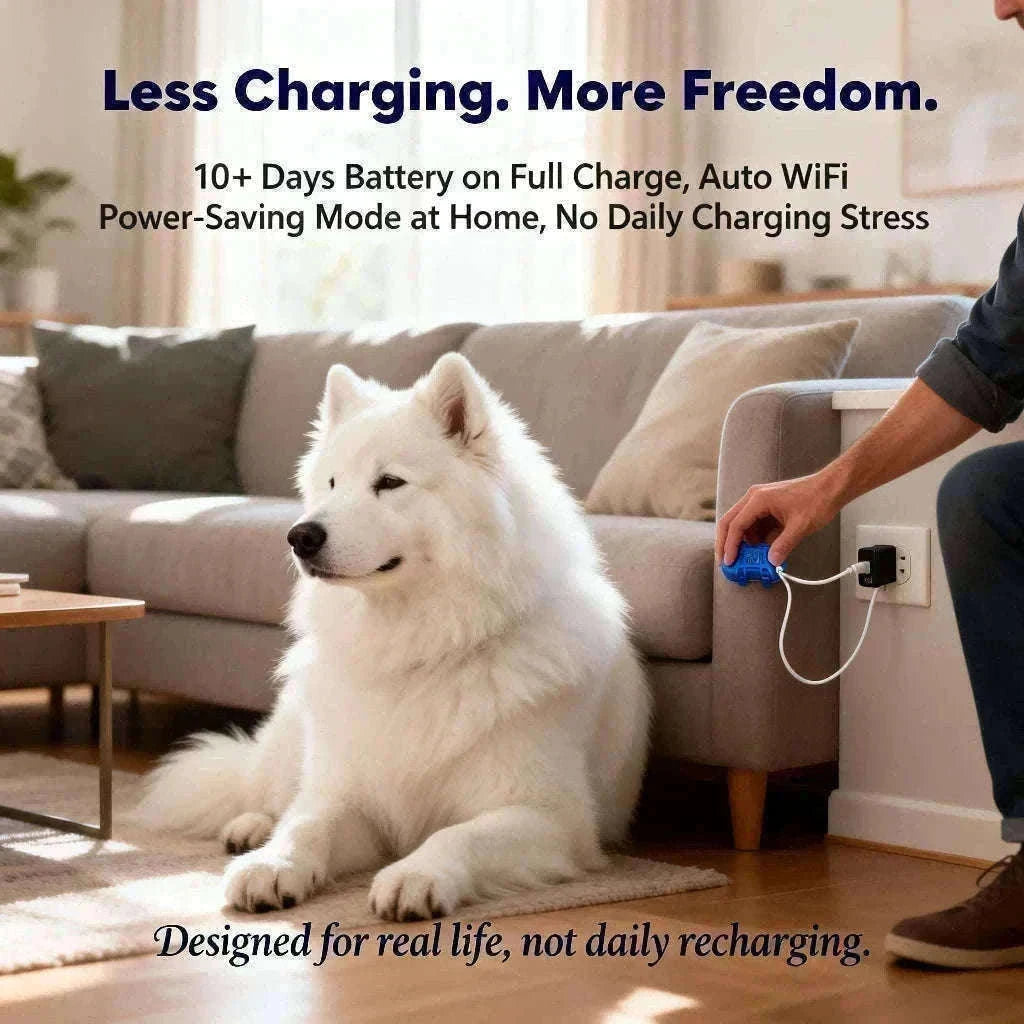 GPS Pet Tracker with Real-Time Tracking, Geo-Fence & App Alerts-Pet Tracker / United States