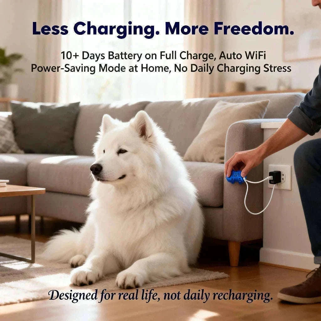 GPS Pet Tracker with Real-Time Tracking, Geo-Fence & App Alerts-Pet Tracker / United States