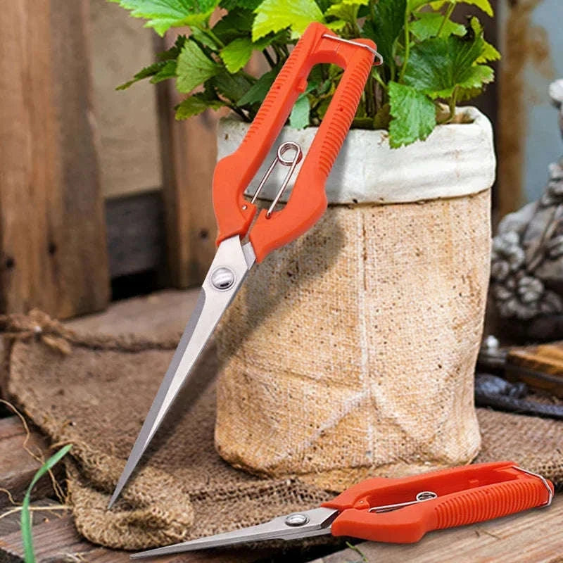 Grape Pruning Shears – Stainless Steel Garden Tool-Red