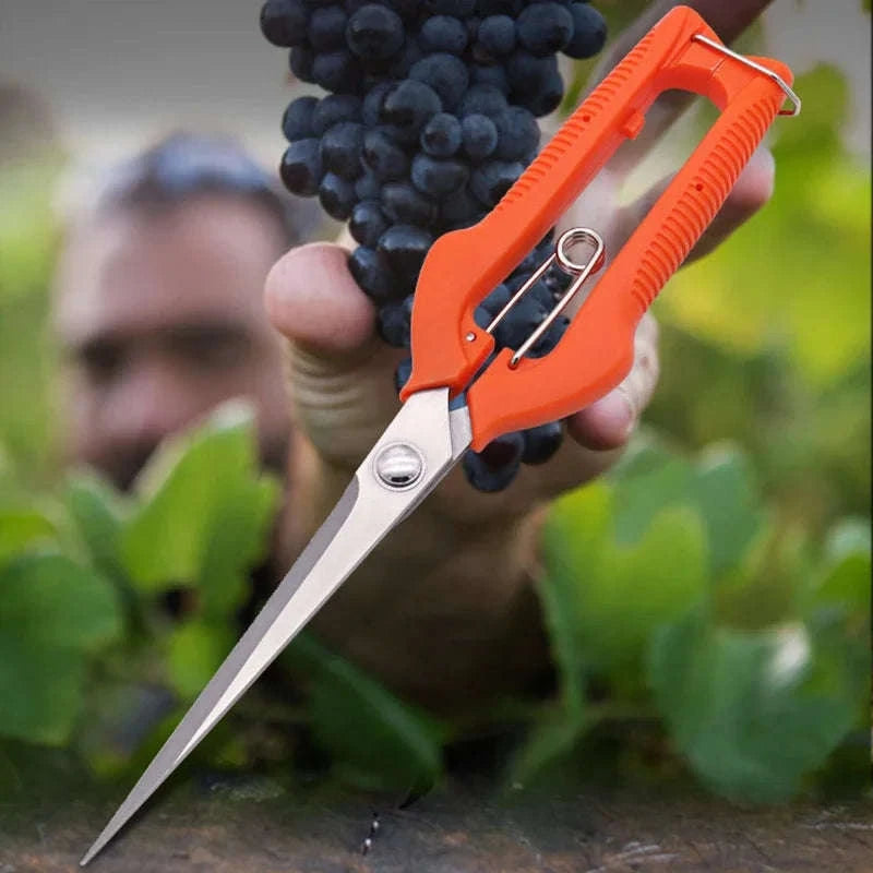 Grape Pruning Shears – Stainless Steel Garden Tool-Red