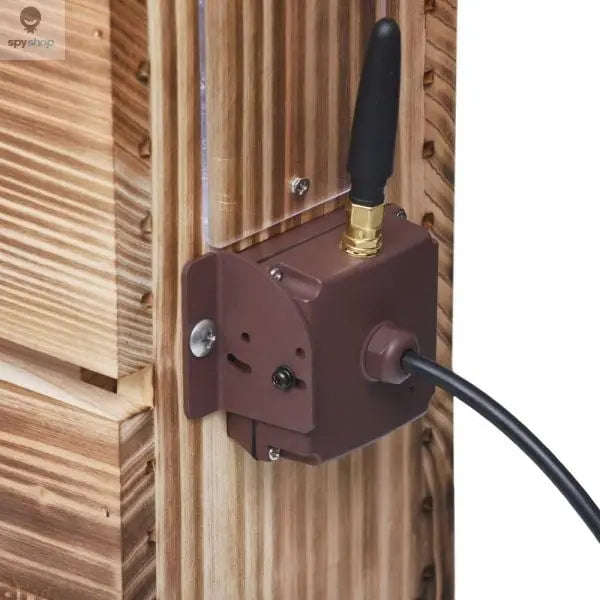 Green Backyard Bat House-Default Title