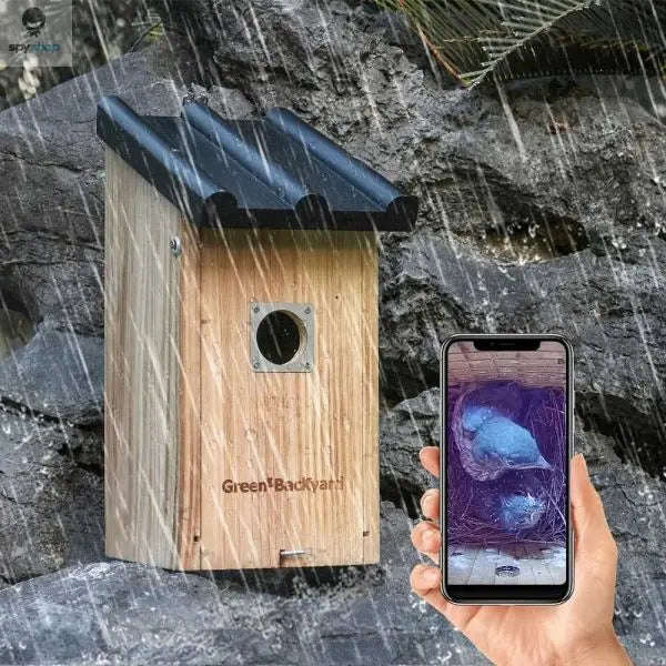 Green Backyard Nest Box-Default Title