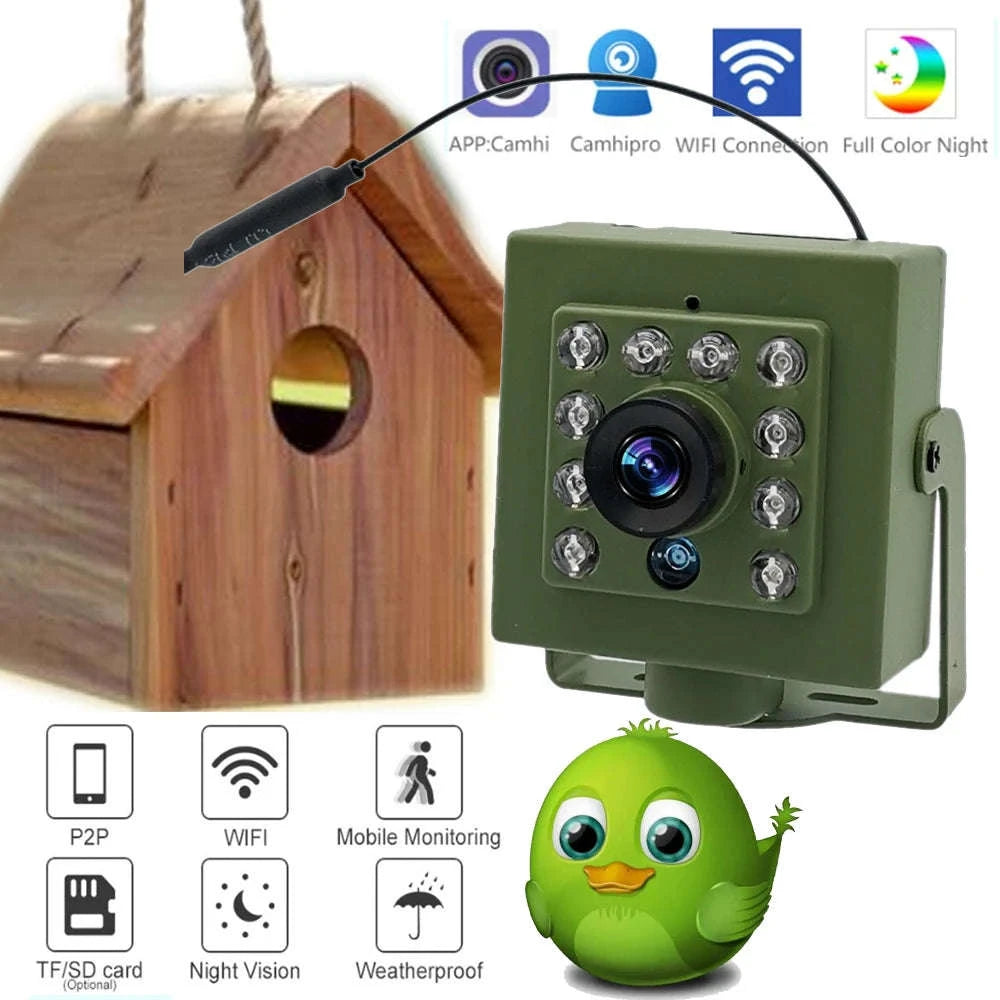 Green WiFi Bird Box Camera Kit with Night Vision-2MP IMX307 SONY / US Plug / 3.6mm