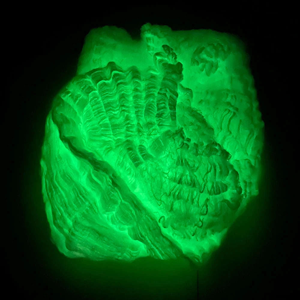 Halloween Fluorescent Spider Webs-Luminous Spider Web / 40g