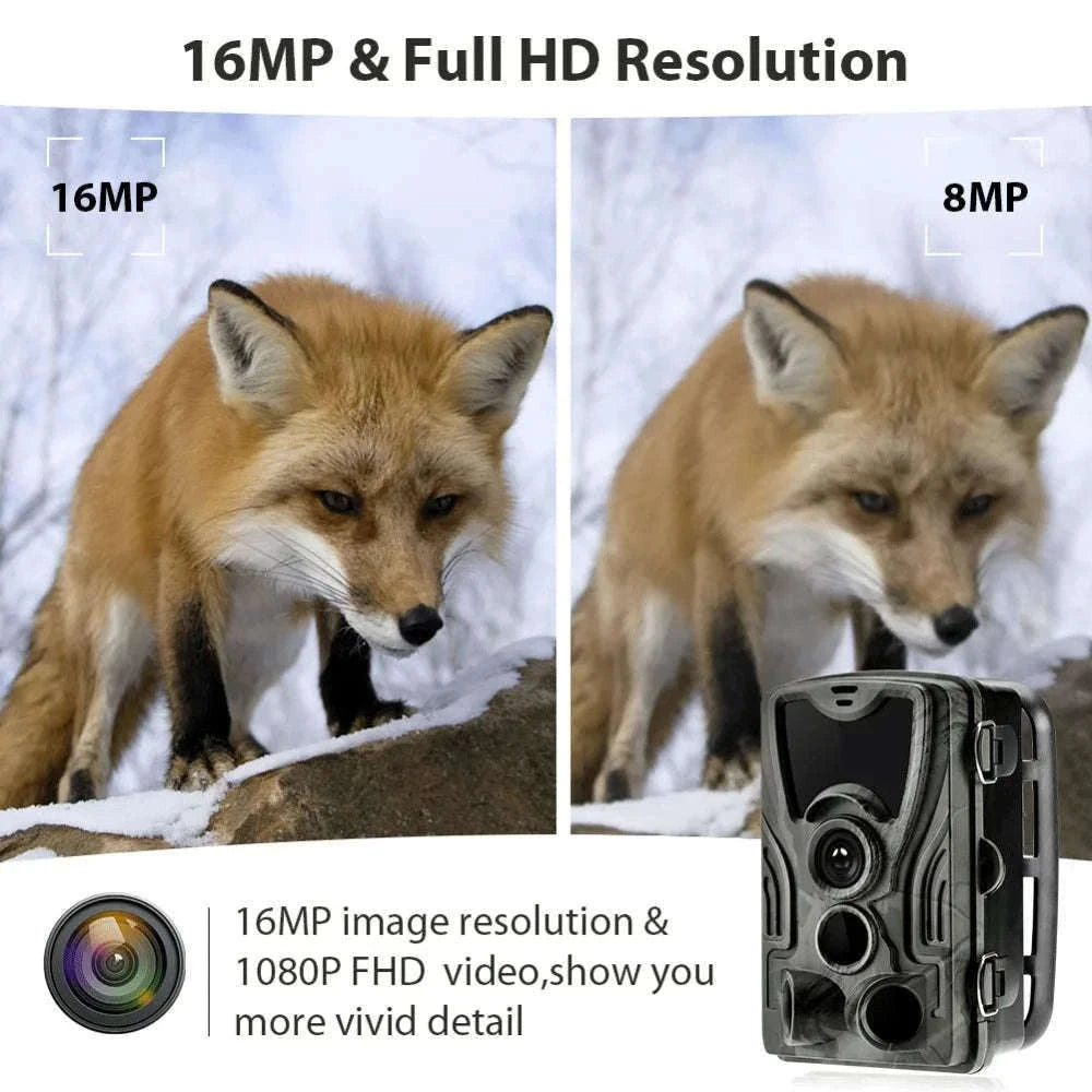 HC801A Wireless Trail Camera 20MP 1080P Night Vision-HC801A