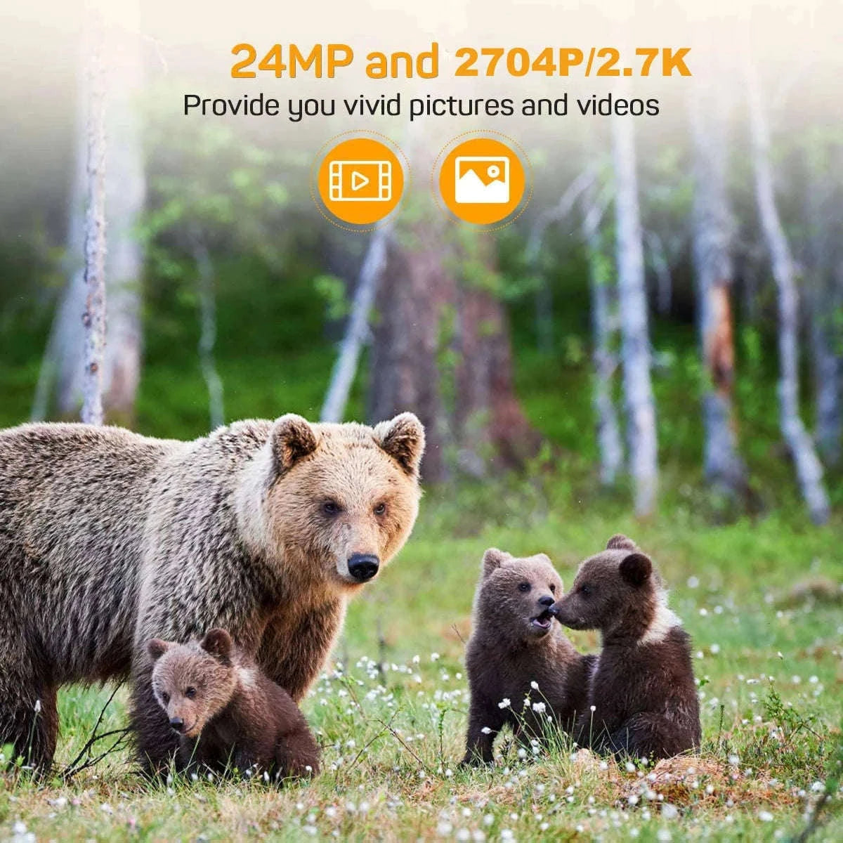 HC802A Wireless Trail Camera, 24MP Night Vision Wildlife Camera-HC-802A