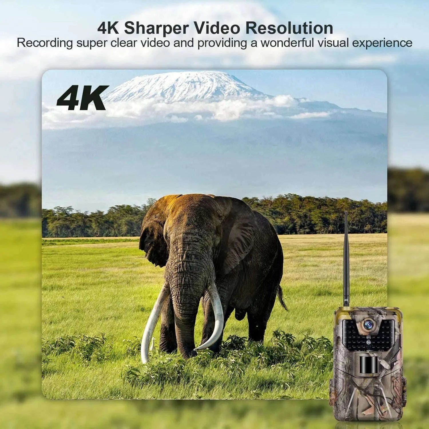 HC900PRO 4G Wireless Trail Camera with Live App and 30MP Night Vision-USA VERSION
