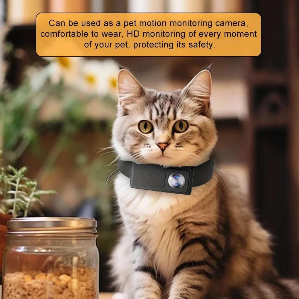 HD 1080P Pet Collar Camera with 170° Wide Angle Recording-X6 Collar pet camera / only camera