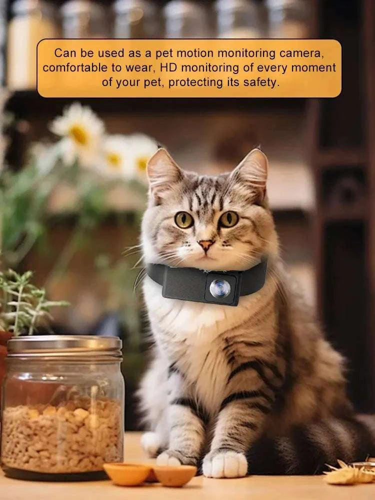 HD 1080P Pet Collar Camera with 170° Wide Angle Recording-X6 Collar pet camera / only camera