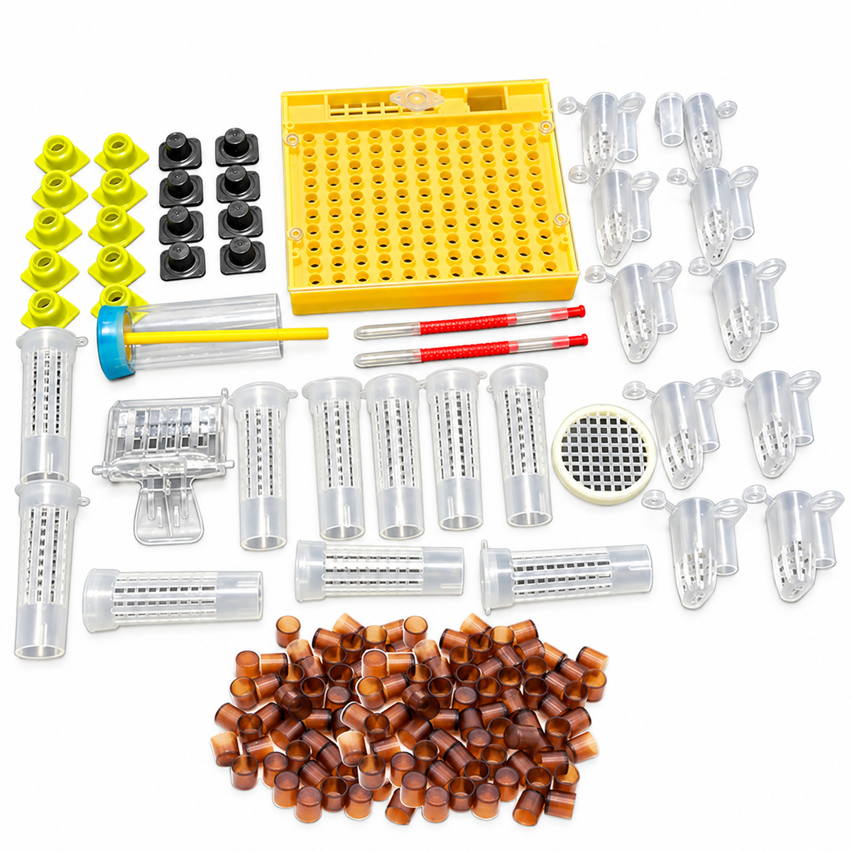 Plastic Queen Rearing Kit for Beekeeping