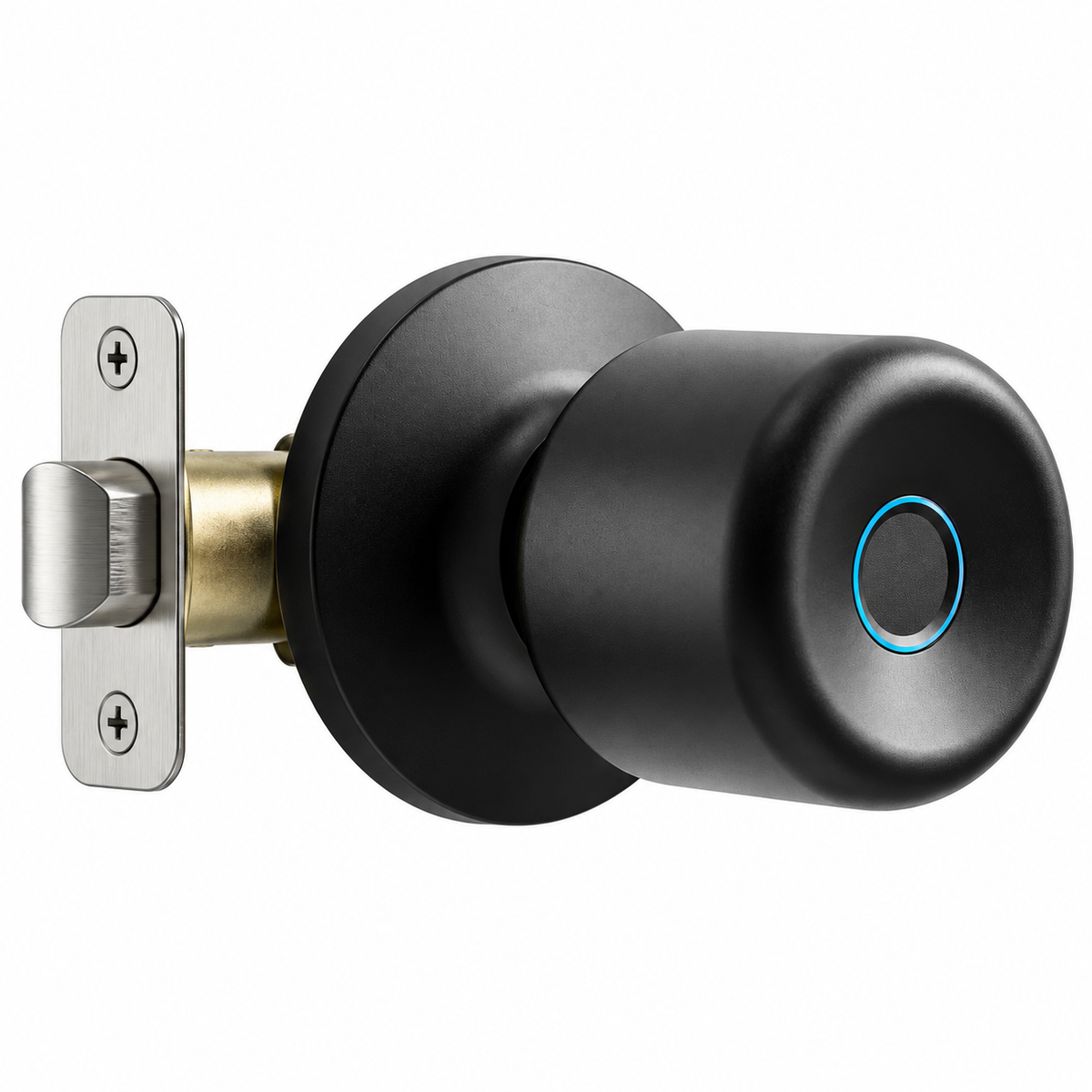 Fingerprint Door Knob with Tuya App Control