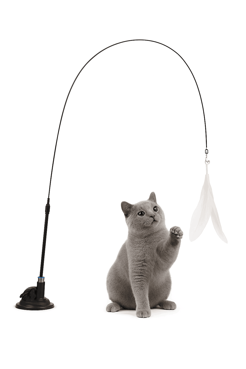 Interactive Cat Toy Teaser with Bell & Feather Wand-Black Enhanced