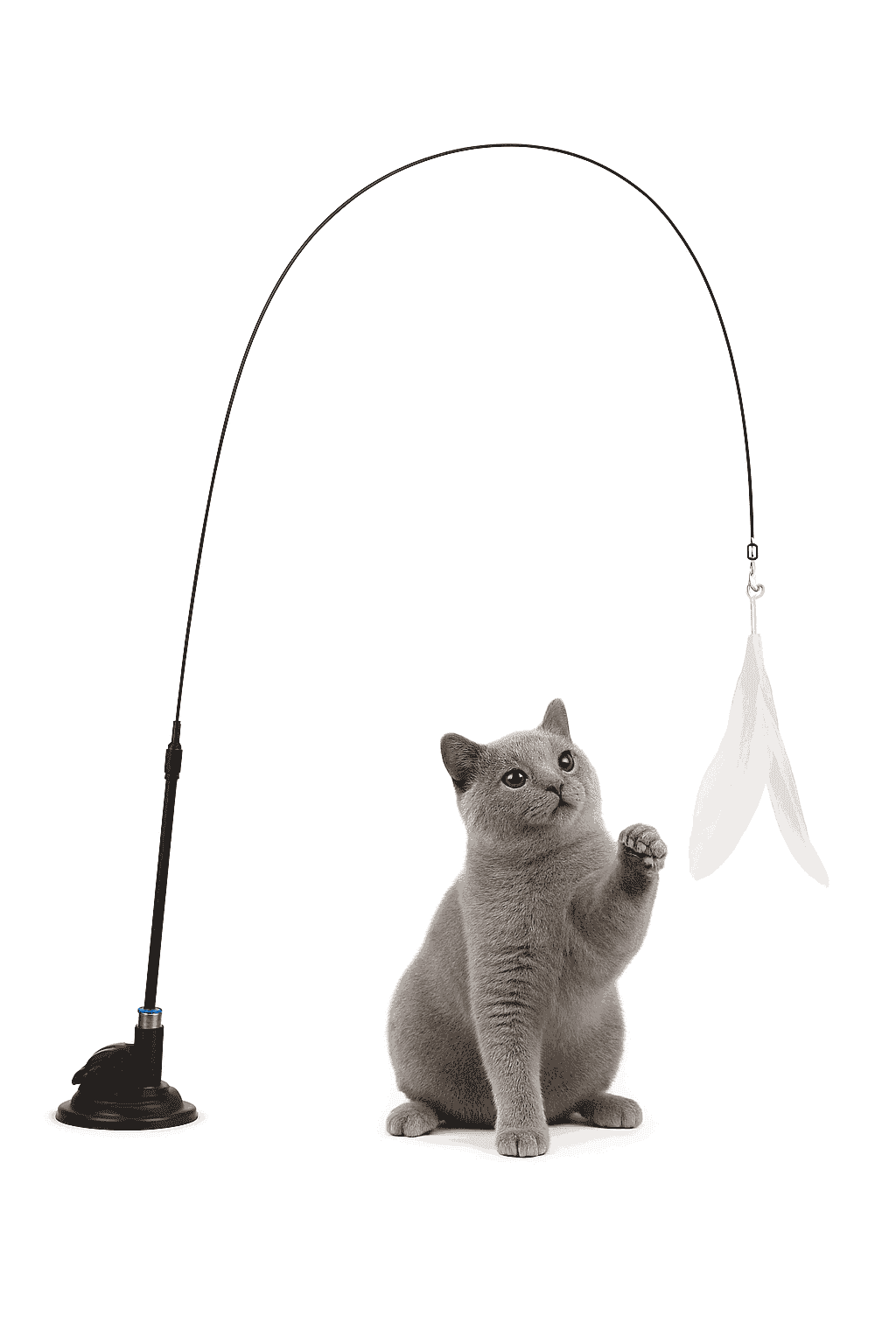 Interactive Cat Toy Teaser with Bell & Feather Wand-Black Enhanced